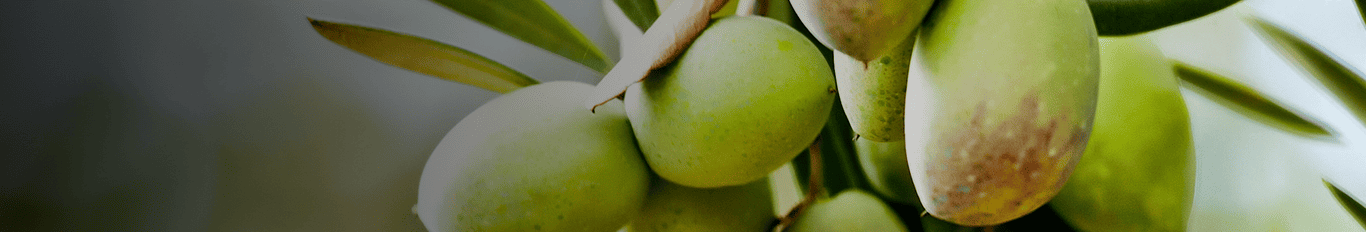 Banner desktop azeite